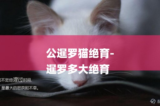 公暹羅貓絕育-
暹羅多大絕育