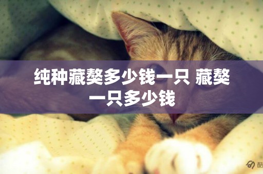 純種藏獒多少錢一只 藏獒一只多少錢