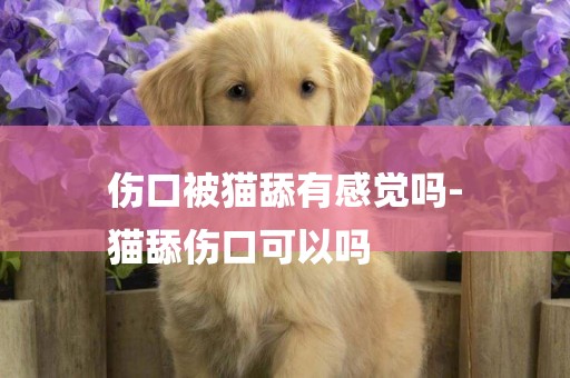 傷口被貓舔有感覺嗎-
貓舔傷口可以嗎