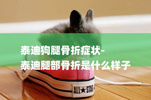 泰迪狗腿骨折癥狀-
泰迪腿部骨折是什么樣子