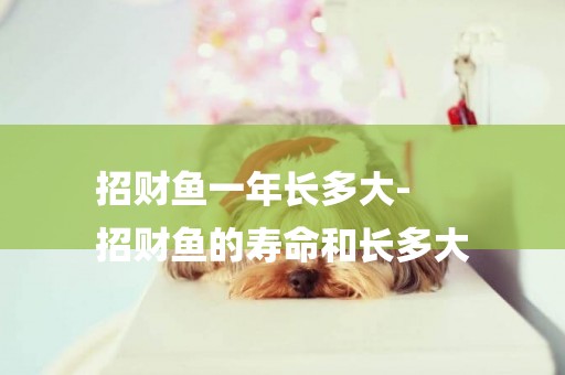 招財魚一年長多大-
招財魚的壽命和長多大