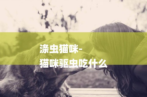 滌蟲貓咪-
貓咪驅蟲吃什么