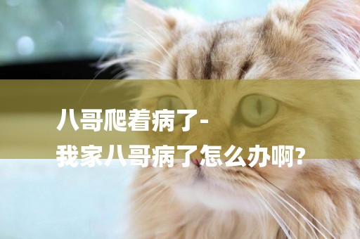 八哥爬著病了-
我家八哥病了怎么辦啊?