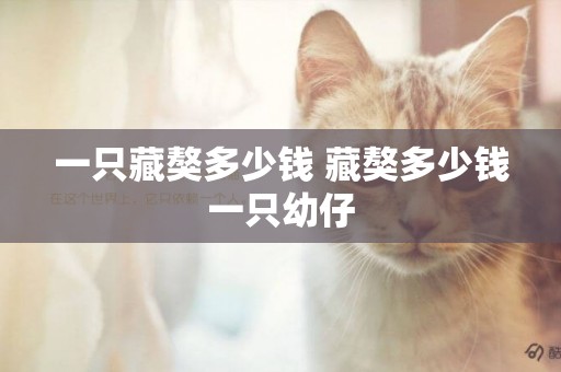 一只藏獒多少錢 藏獒多少錢一只幼仔