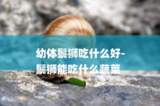 幼體鬃獅吃什么好-
鬃獅能吃什么蔬菜