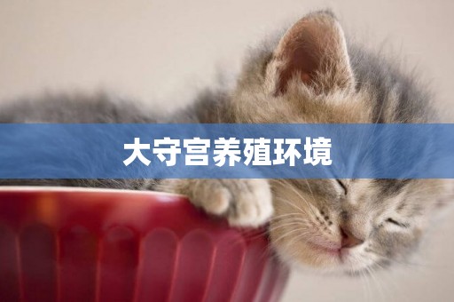 大守宮養殖環境