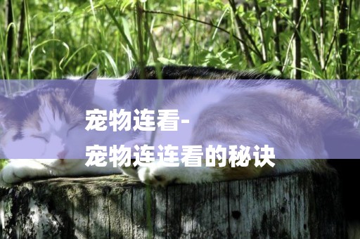 寵物連看-
寵物連連看的秘訣