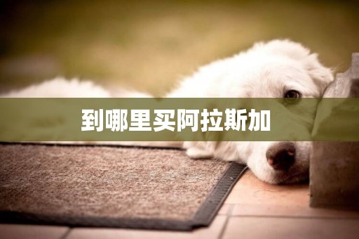 到哪里買阿拉斯加 