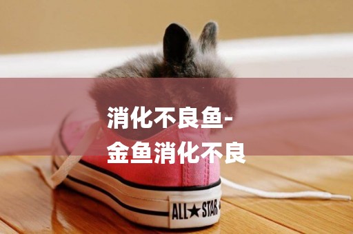 消化不良魚-
金魚消化不良