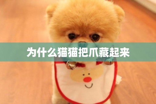 為什么貓貓把爪藏起來
