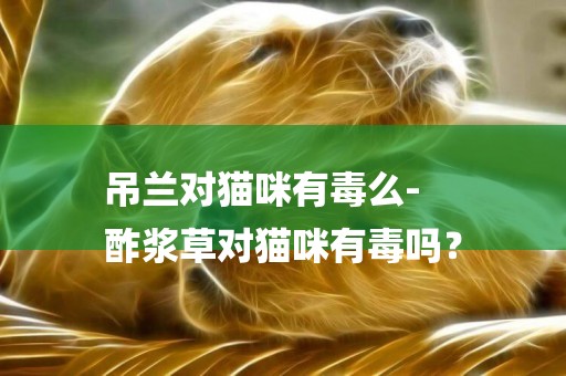 吊蘭對貓咪有毒么-
酢漿草對貓咪有毒嗎？