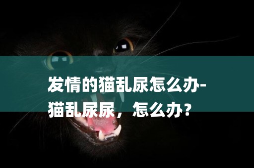 發情的貓亂尿怎么辦-
貓亂尿尿，怎么辦？