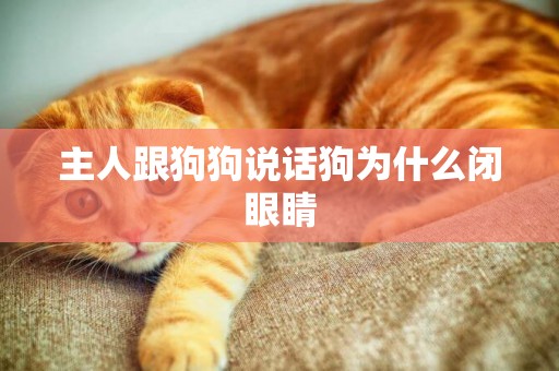主人跟狗狗說話狗為什么閉眼睛