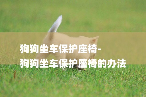 狗狗坐車保護座椅-
狗狗坐車保護座椅的辦法