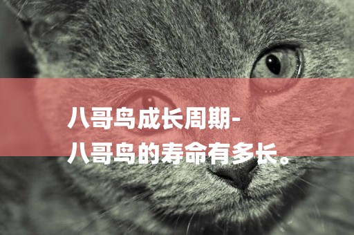 八哥鳥成長周期-
八哥鳥的壽命有多長。