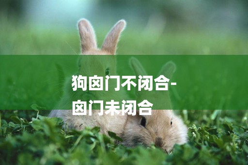 狗囟門不閉合-
囟門未閉合