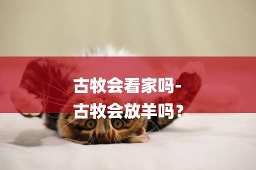 古牧會看家嗎-
古牧會放羊嗎？