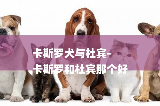 卡斯羅犬與杜賓-
卡斯羅和杜賓那個好
