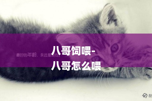 八哥飼喂-
八哥怎么喂