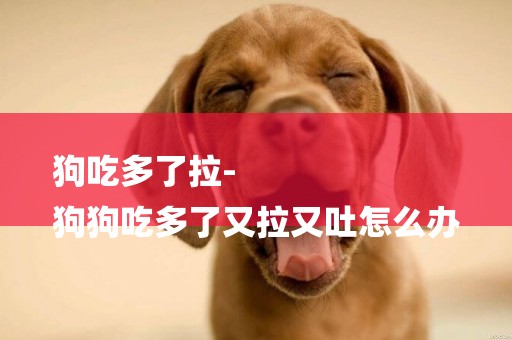 狗吃多了拉-
狗狗吃多了又拉又吐怎么辦