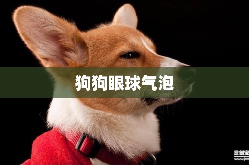 狗狗眼球氣泡