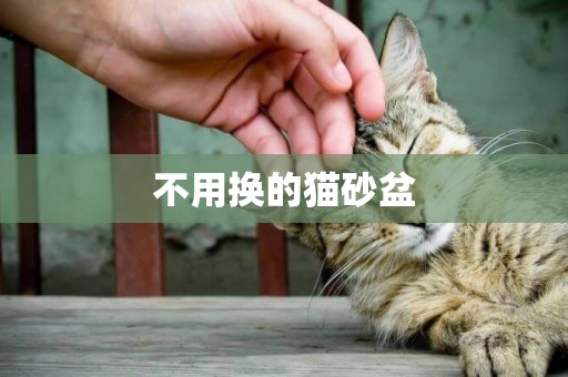不用換的貓砂盆