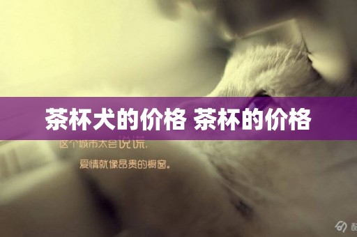 茶杯犬的價格 茶杯的價格