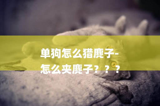 單狗怎么獵麂子-
怎么夾麂子？？？