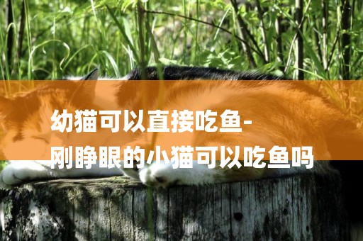 幼貓可以直接吃魚-
剛睜眼的小貓可以吃魚嗎