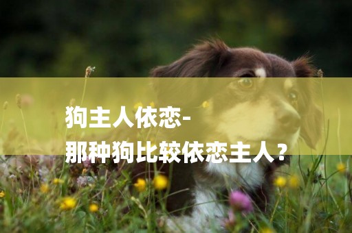狗主人依戀-
那種狗比較依戀主人？