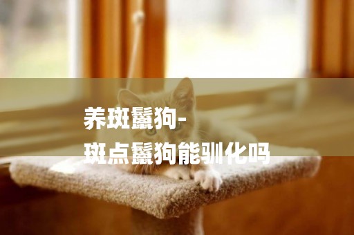 養斑鬣狗-
斑點鬣狗能馴化嗎