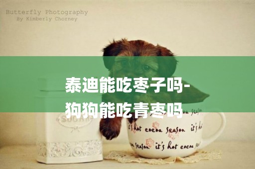 泰迪能吃棗子嗎-
狗狗能吃青棗嗎