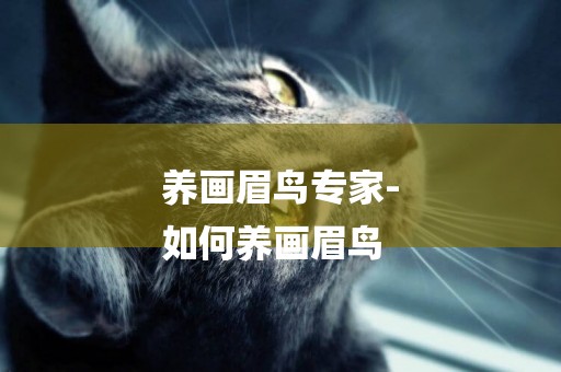 養畫眉鳥專家-
如何養畫眉鳥