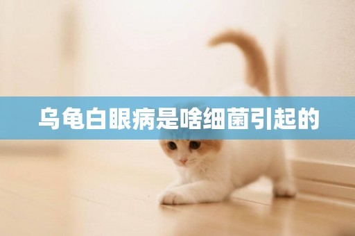 烏龜白眼病是啥細菌引起的