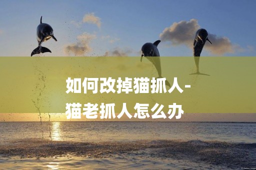 如何改掉貓抓人-
貓老抓人怎么辦