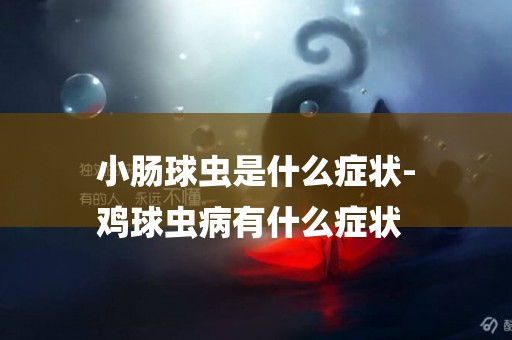 小腸球蟲是什么癥狀-
雞球蟲病有什么癥狀