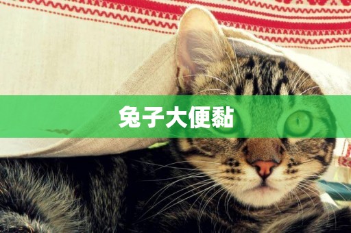 兔子大便黏