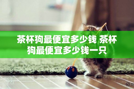 茶杯狗最便宜多少錢 茶杯狗最便宜多少錢一只