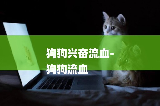 狗狗興奮流血-
狗狗流血