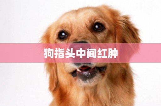 狗指頭中間紅腫