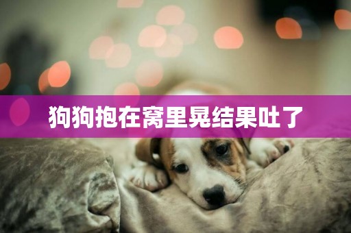 狗狗抱在窩里晃結果吐了