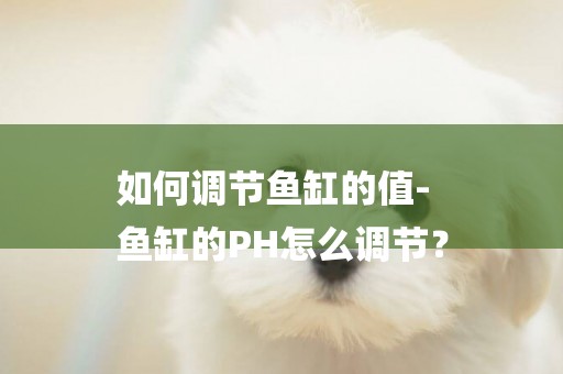 如何調節魚缸的值-
魚缸的PH怎么調節？