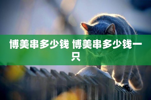 博美串多少錢 博美串多少錢一只