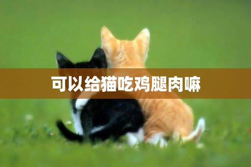 可以給貓吃雞腿肉嘛