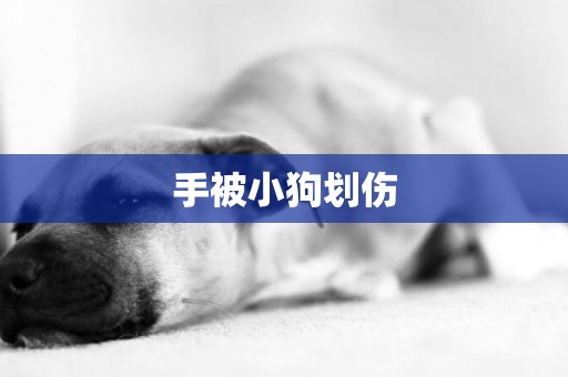 手被小狗劃傷