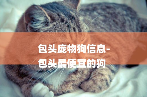 包頭龐物狗信息-
包頭最便宜的狗