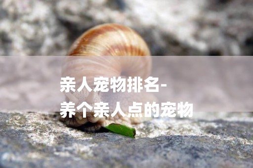 親人寵物排名-
養個親人點的寵物