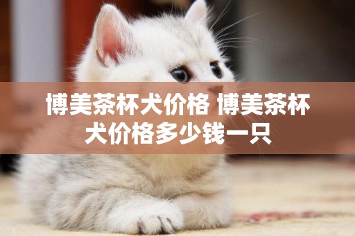 博美茶杯犬價格 博美茶杯犬價格多少錢一只