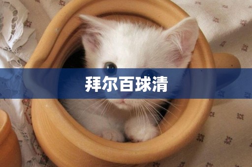 拜爾百球清