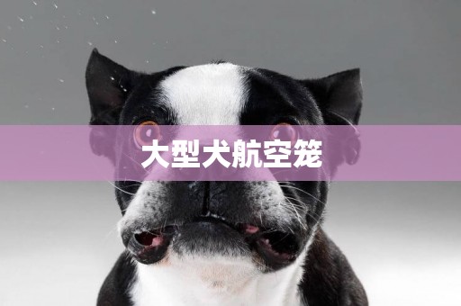 大型犬航空籠